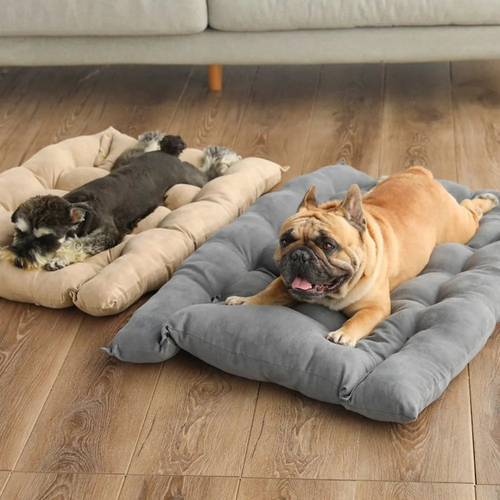 Multifunction 3 IN 1 Dog & Cat Bed Mat